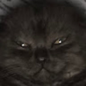 Meet your Posher, Badger